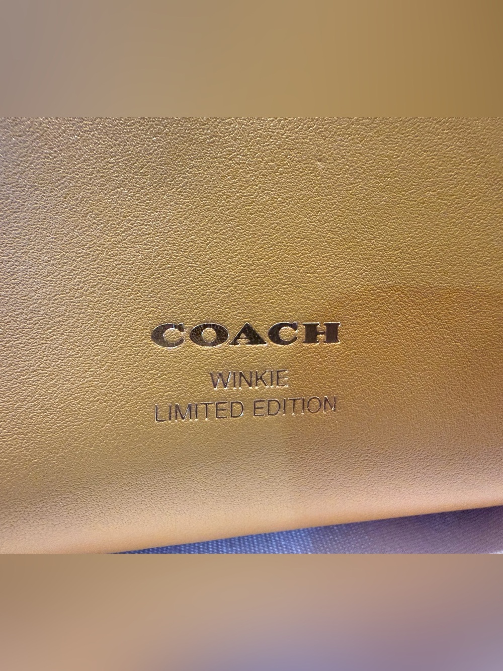 RARE Coach Coachies Winkie Rogue 17 Limited Edition Crossbody Bag - Picture 12 of 16